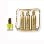 SUPER PAKET IZ LANENEGA OLJA - SEMI DI LINO - 480 ml